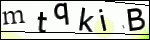 Human Confirmation Code (Captcha)