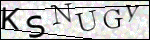 Human Confirmation Code (Captcha)