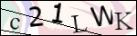 Human Confirmation Code (Captcha)
