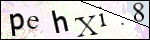 Human Confirmation Code (Captcha)