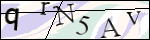 Human Confirmation Code (Captcha)