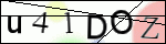 Human Confirmation Code (Captcha)