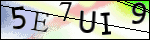Human Confirmation Code (Captcha)