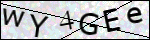 Human Confirmation Code (Captcha)