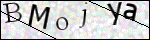 Human Confirmation Code (Captcha)