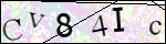 Human Confirmation Code (Captcha)