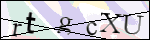 Human Confirmation Code (Captcha)