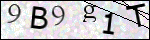 Human Confirmation Code (Captcha)