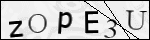 Human Confirmation Code (Captcha)