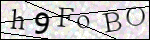 Human Confirmation Code (Captcha)