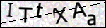 Human Confirmation Code (Captcha)