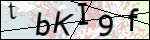 Human Confirmation Code (Captcha)