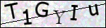 Human Confirmation Code (Captcha)