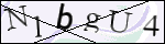 Human Confirmation Code (Captcha)
