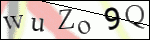 Human Confirmation Code (Captcha)