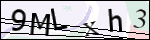 Human Confirmation Code (Captcha)
