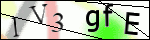 Human Confirmation Code (Captcha)