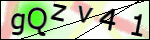 Human Confirmation Code (Captcha)