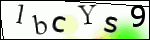 Human Confirmation Code (Captcha)