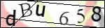 Human Confirmation Code (Captcha)