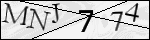 Human Confirmation Code (Captcha)