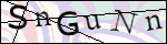 Human Confirmation Code (Captcha)