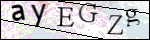 Human Confirmation Code (Captcha)