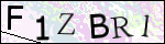 Human Confirmation Code (Captcha)