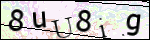 Human Confirmation Code (Captcha)