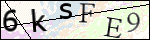Human Confirmation Code (Captcha)