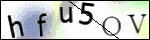 Human Confirmation Code (Captcha)