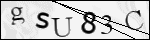 Human Confirmation Code (Captcha)