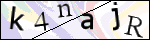 Human Confirmation Code (Captcha)
