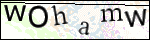 Human Confirmation Code (Captcha)