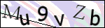 Human Confirmation Code (Captcha)