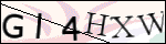 Human Confirmation Code (Captcha)