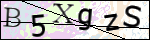 Human Confirmation Code (Captcha)
