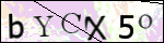 Human Confirmation Code (Captcha)