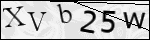 Human Confirmation Code (Captcha)