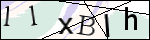 Human Confirmation Code (Captcha)