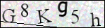 Human Confirmation Code (Captcha)