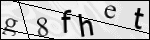 Human Confirmation Code (Captcha)