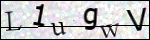 Human Confirmation Code (Captcha)