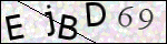 Human Confirmation Code (Captcha)