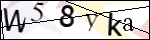 Human Confirmation Code (Captcha)