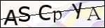 Human Confirmation Code (Captcha)