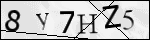 Human Confirmation Code (Captcha)