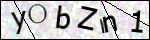Human Confirmation Code (Captcha)