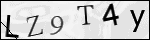 Human Confirmation Code (Captcha)