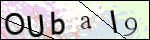 Human Confirmation Code (Captcha)